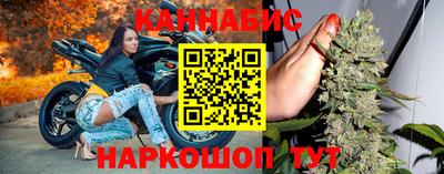 прущие грибы Можга