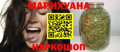 прущие грибы Можга