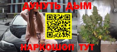 прущие грибы Можга