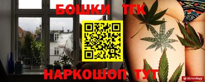 прущие грибы Можга