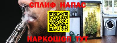 прущие грибы Можга